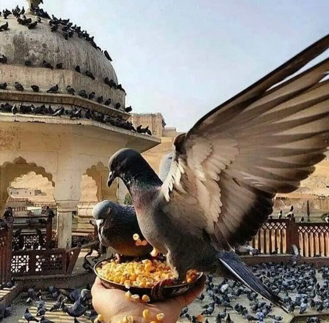 Discovering the Magic of Bali